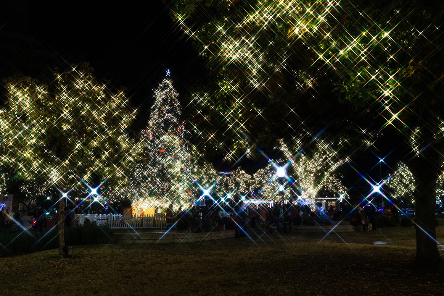 Thousands of people have gathered at Travis Park since the start of the holiday season in San Antonio to take photos in front of the H-E-B Christmas tree, and skate at the Rotary Ice Rink. Dec. 5, 2021. Photo by Chris Stokes | Heron contributor