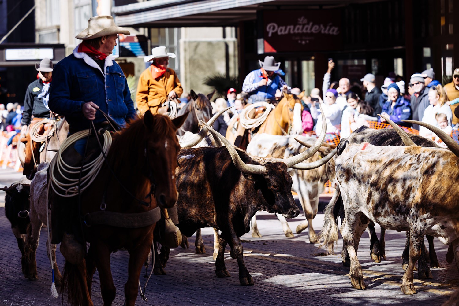 The annual Western Heritage Parade & Cattle Drive takes place on Houston Street in downtown San Antonio, Texas, on Feb. 5, 2022. Photo by Chris Stokes | Heron contributor