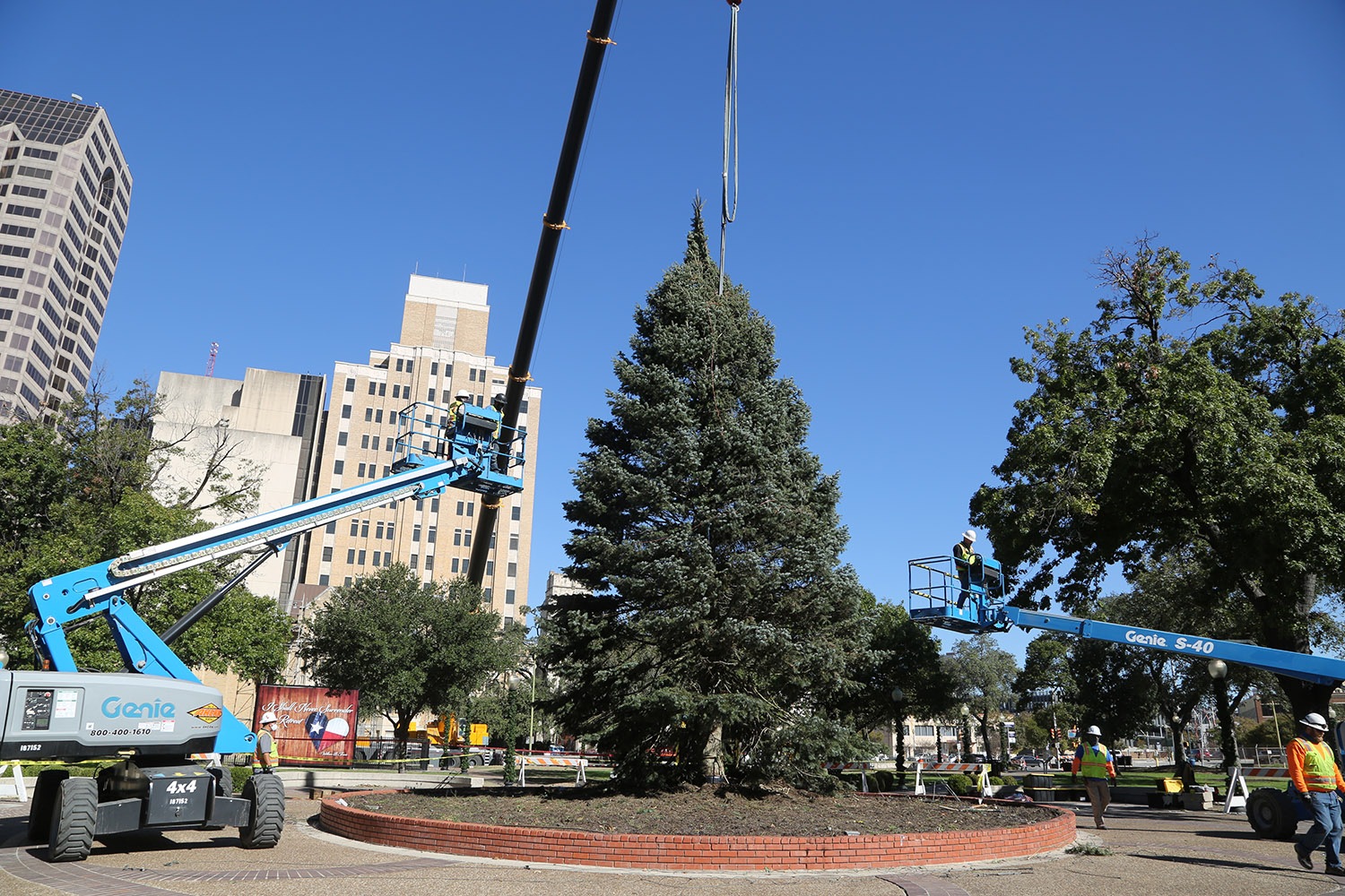 The H-E-B Christmas tree from Northern Michigan arrives Nov. 17, 2020, Travis Park.‬ <em>Photo by Ben Olivo | Heron</em>
