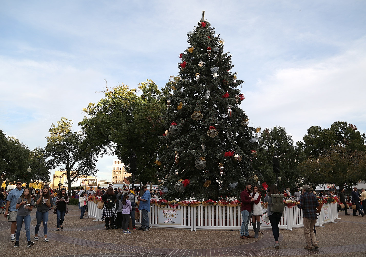 The H-E-B Christmas tree is lit on Friday at Travis Park. <em><b>Photo by Ben Olivo | Heron</b></em>